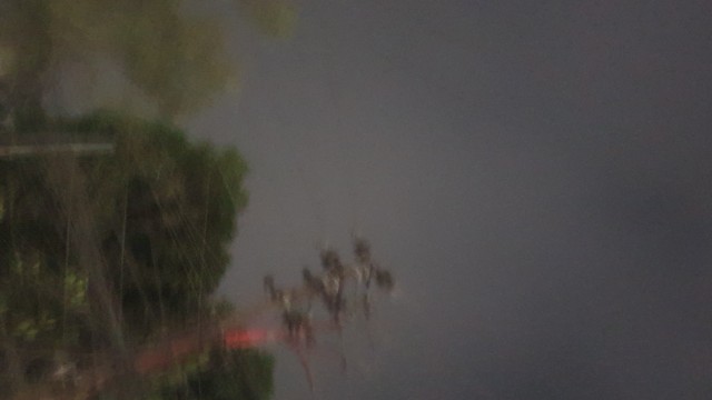 ঢাকায় মৌসুমের সর্বনিম্ন তাপমাত্রা, সারাদেশে শীত আরও বাড়ার পূর্বাভাস